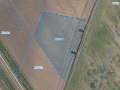 Działka | Pisarzowice dz. 238/17 | 0,3101 ha