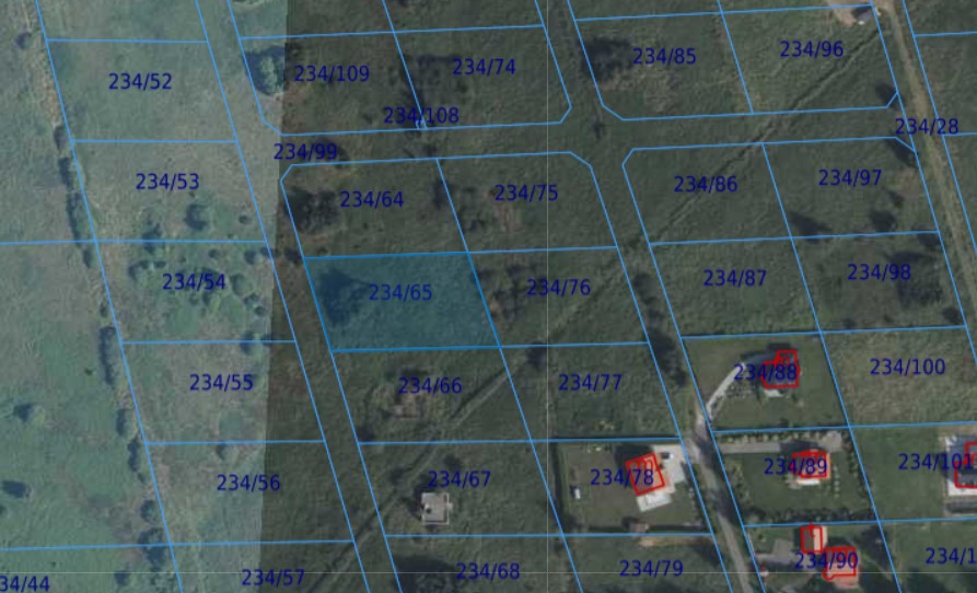Działka | Dźwirzyno dz 234/65 | 0,2351 ha