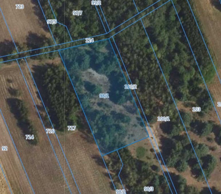 Działka | WOLA CYGOWSKA dz. 98/1 | 0,3065 ha