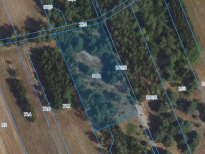 Działka | WOLA CYGOWSKA dz. 98/1 | 0,3065 ha