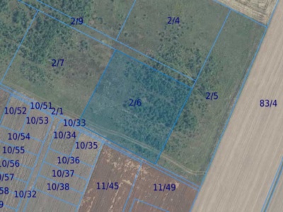 Działka | Śmiechów dz. 2/6 | 1,0389 ha