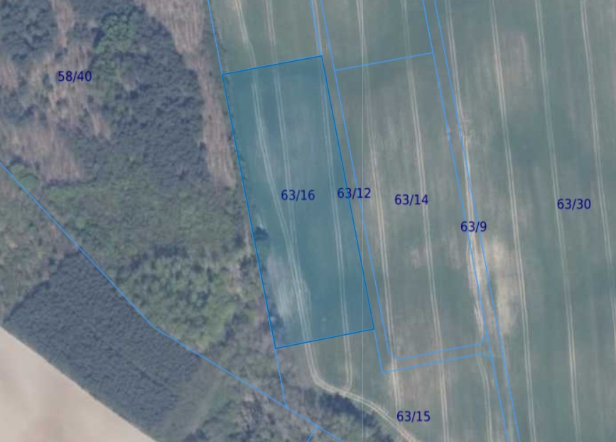 Działka | Ełganowo dz 63/16 | 1,0001 ha