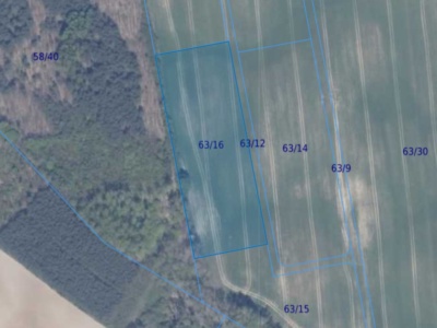 Działka | Ełganowo dz 63/16 | 1,0001 ha