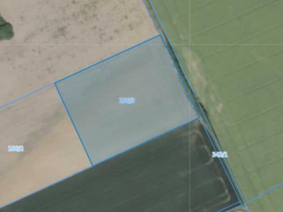 Działka | Pisarzowice dz. 186/3 | 1,0383 ha