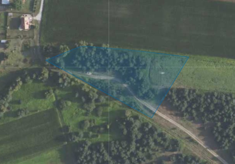 Działka| Grędzina dz 423/1 | 1,0039 ha