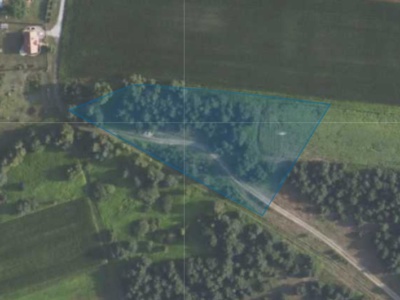 Działka| Grędzina dz 423/1 | 1,0039 ha