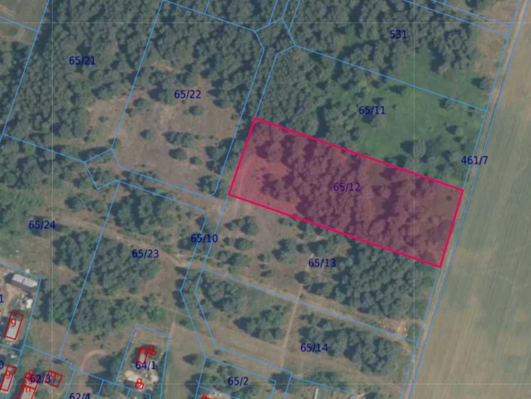 Działka | BISKUPICE dz. 65/12 | 1,0010 ha