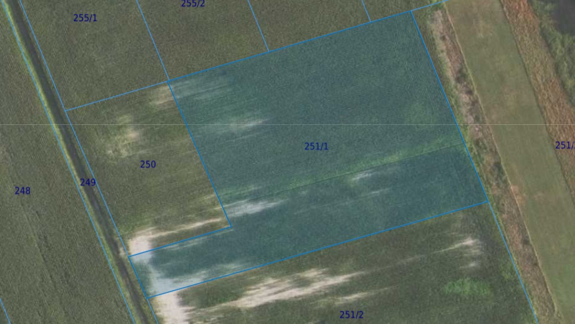 Działka| Grędzina dz 251/1 | 0,9981 ha