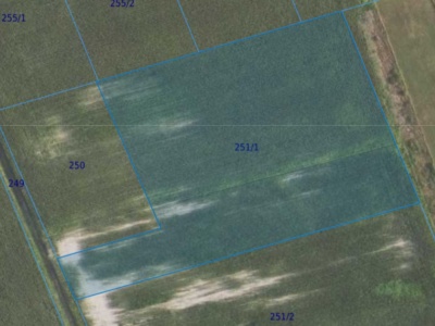 Działka| Grędzina dz 251/1 | 0,9981 ha