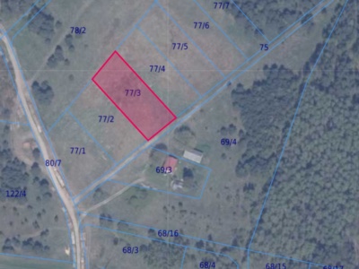 Działka | Błotnia dz. 77/3 | 0,3001 ha