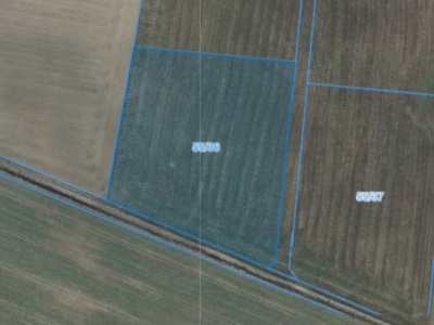 Działka | Nieszawa dz. 55/36 | 1,0582 ha