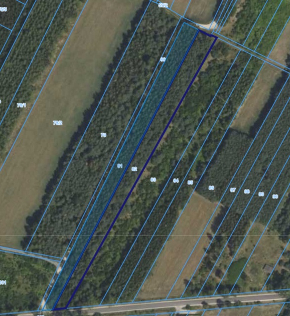 Działka | Długowizna dz 81 i 82 | kompleks 1,07 ha