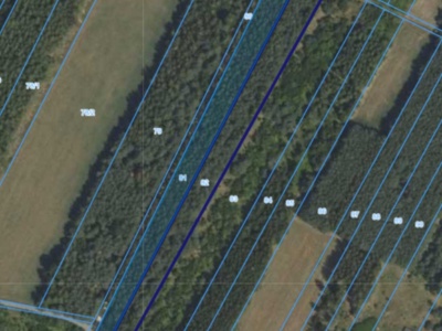 Działka | Długowizna dz 81 i 82 | kompleks 1,07 ha