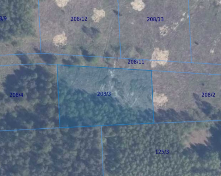 Działka | Lisewiec dz. 208/3 | 0,3001 ha