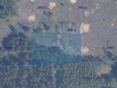 Działka | Lisewiec dz. 208/3 | 0,3001 ha