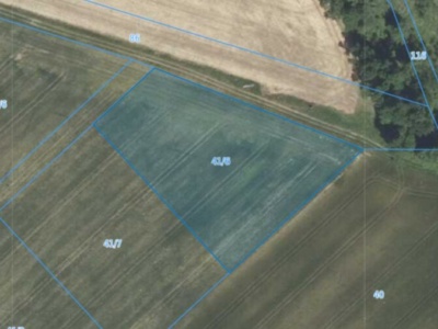 Działka| Jarząbkowice dz 41/6 | 0,3924 ha