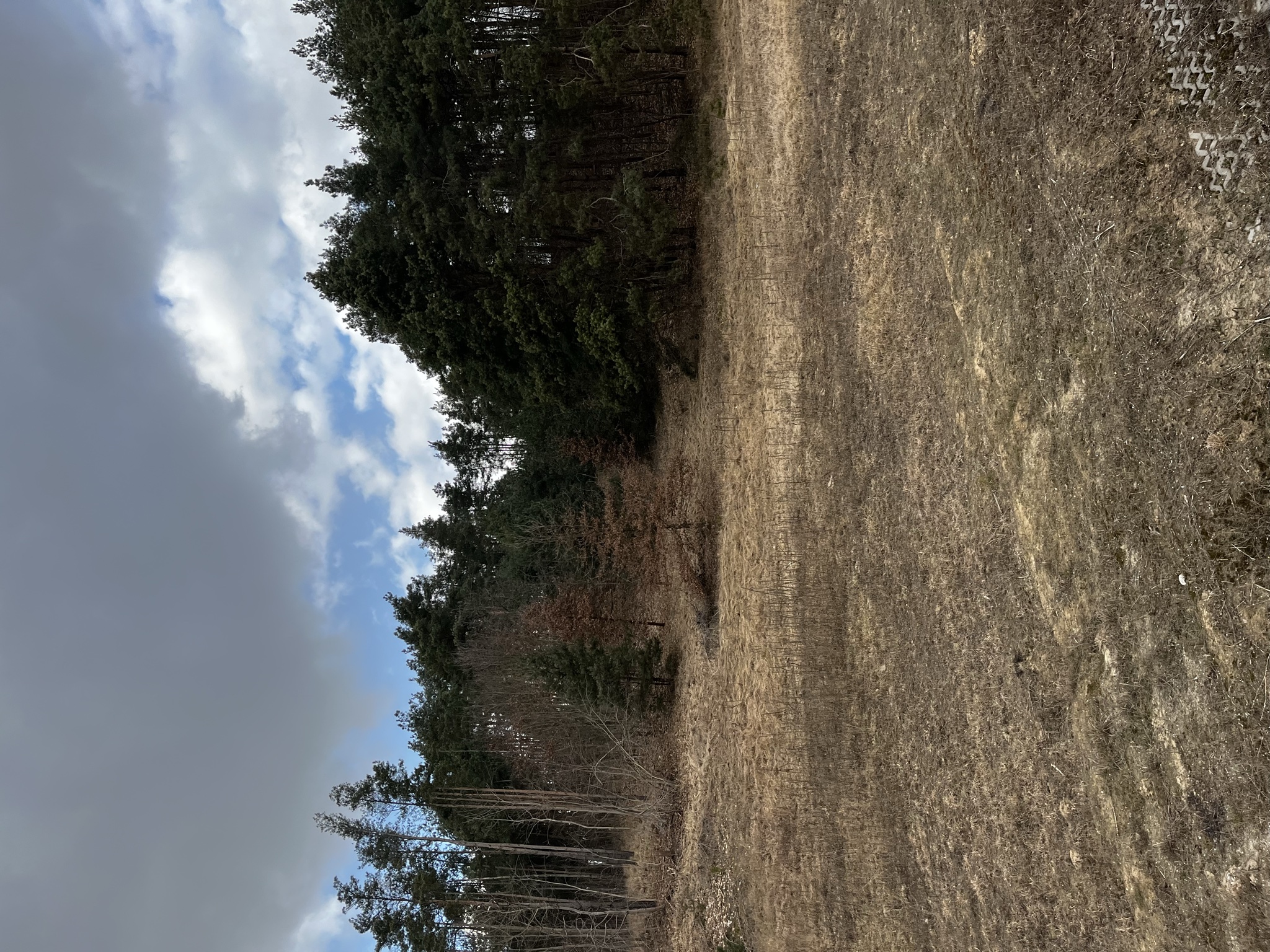 Działka | Pacółtowo dz. 374/9 | 0,8556 ha