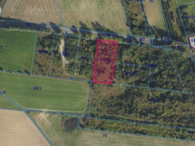 Działka | Dębogórze dz. 67/12 | 0,3100 ha