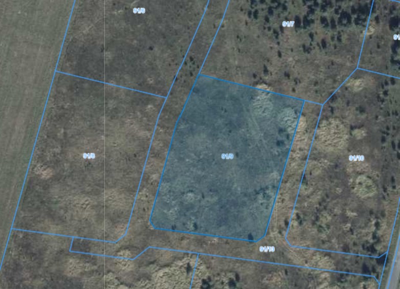 Działka| Grzybowo dz 91/9 | 0,3011 ha