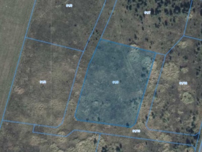 Działka| Grzybowo dz 91/9 | 0,3011 ha