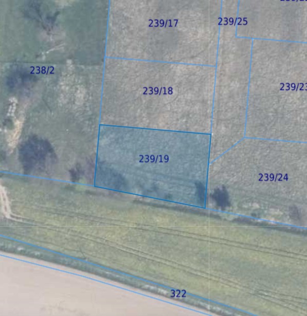 Działka | MIKOSZEWO dz. 239/19  | 0,1289 ha