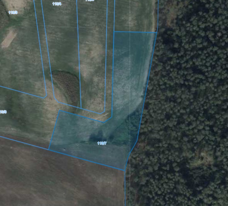 Działka | Pacholewo dz. 113/7 | 1,2455 ha