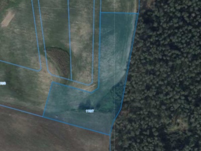 Działka | Pacholewo dz. 113/7 | 1,2455 ha