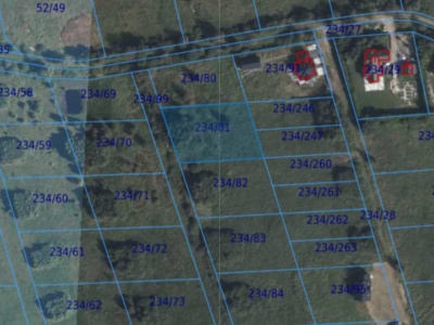 Działka | Dźwirzyno dz 234/81 | 0,2389 ha