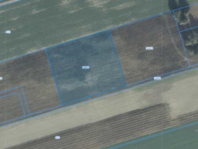 Działka | Wielonek dz. 517/9 | 1,1642 ha