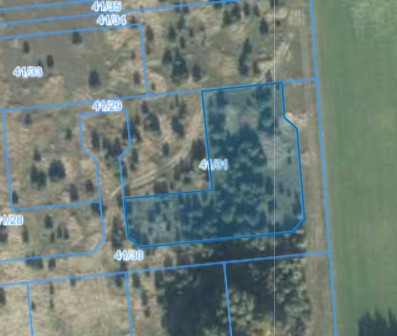 Działka | Rusiborek dz. 41/31 | 0.3098 ha