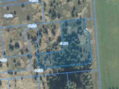 Działka | Rusiborek dz. 41/31 | 0.3098 ha