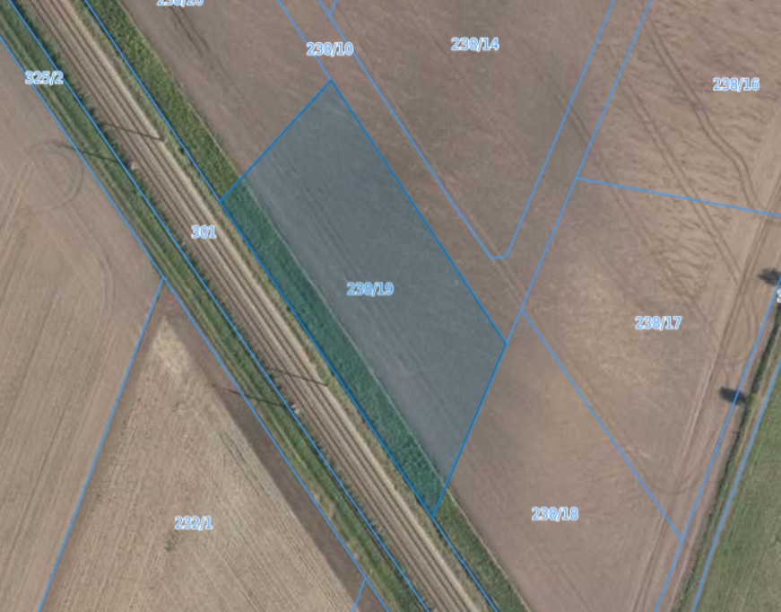 Działka | Pisarzowice dz. 238/19 | 0,3083 ha