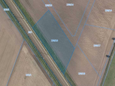 Działka | Pisarzowice dz. 238/19 | 0,3083 ha