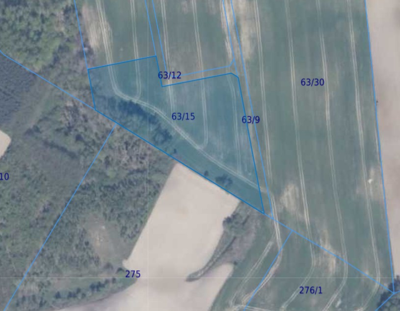 Działka | Ełganowo dz 63/15 | 1,0001 ha