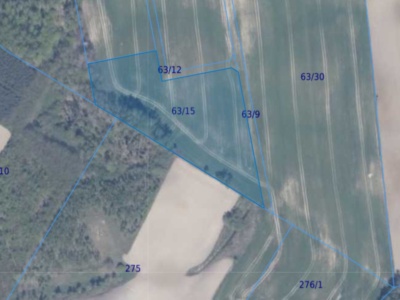 Działka | Ełganowo dz 63/15 | 1,0001 ha