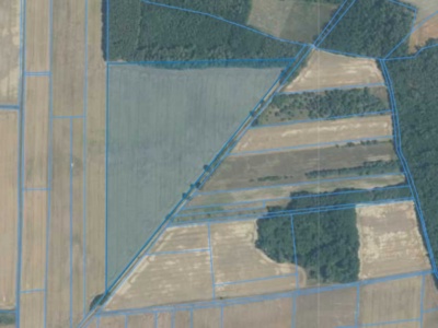 Działka| GRODZANÓW dz 27/3 |  7,78 ha