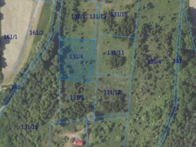 Działka| CIELĘTNIKI dz 131/4 | 0,3021 ha