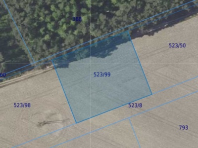 Działka | Miłoszyce dz. 523/99 | 0,3002 ha