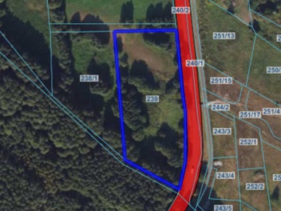 Działka | WIELKA NIESZAWKA dz. 239 | 0,98 ha