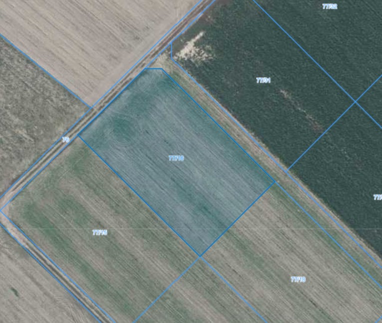Działka | Łagiewniki dz. 77/16 | 0,3259 HA