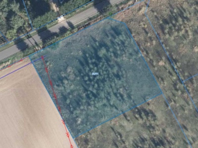 Działka| Karczewko dz 21/11 | 0,2139 ha