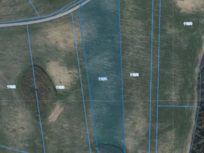 Działka | Pacholewo dz. 113/4 | 1,2270 ha