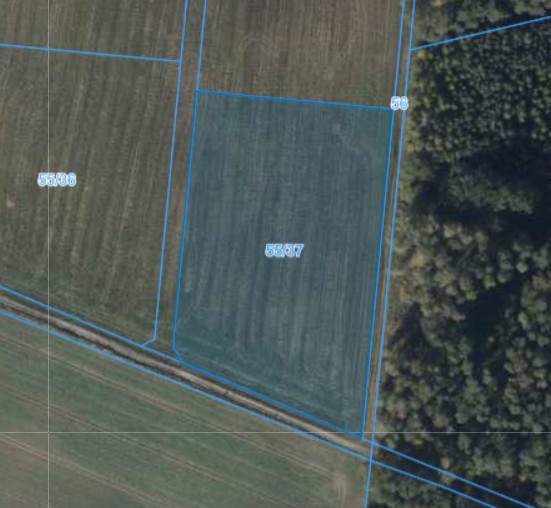 Działka | Nieszawa dz. 55/37 | 1,0582 ha