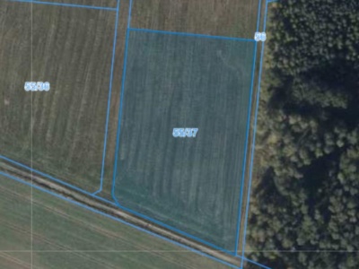 Działka | Nieszawa dz. 55/37 | 1,0582 ha