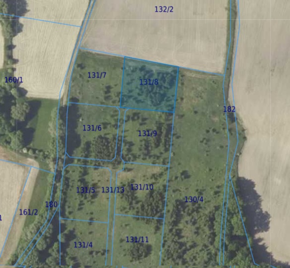 Działka| CIELĘTNIKI dz 131/8 | 0,3006 ha