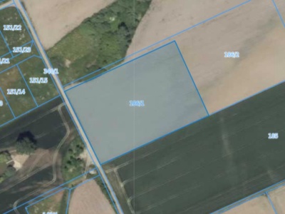 Działka | Pisarzowice dz. 186/1 | 1,0382 ha