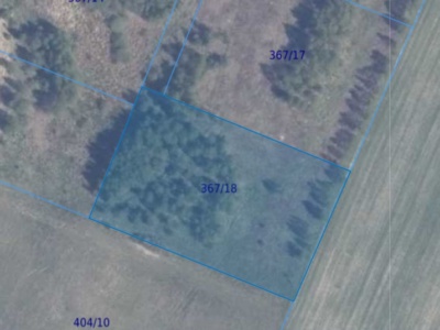 Działka | Łopuchowo dz. 89/11 | 0,5000 ha