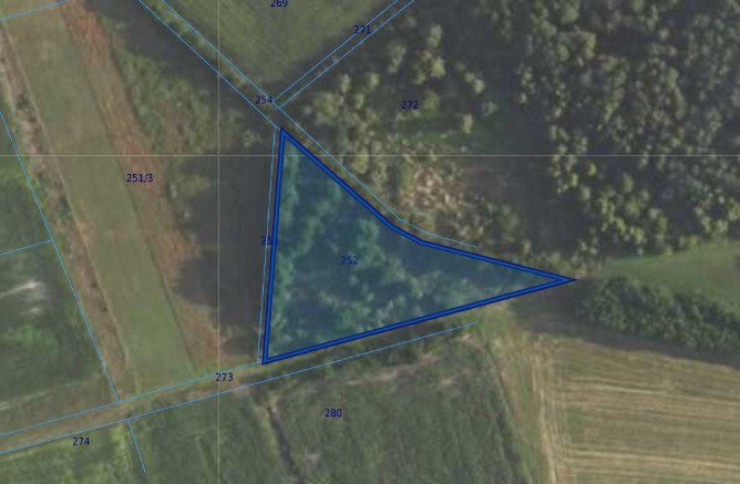 Działka| Grędzina dz 252 | 0,44 ha