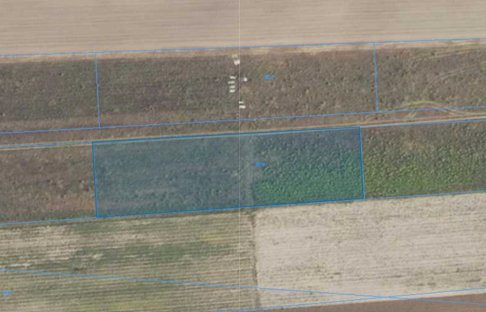 Działka | WYGODA  SMOSZEWSKA dz. 132/6 | 0,3500 ha