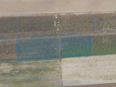 Działka | WYGODA  SMOSZEWSKA dz. 132/6 | 0,3500 ha